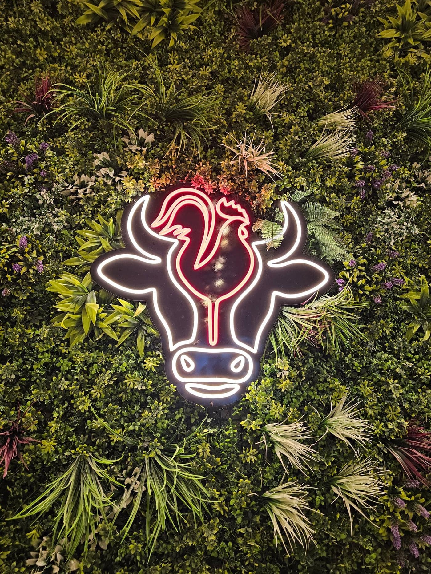 شعار كوك أن بول النيون المميز على جدار النباتات - زاوية مميزة في مطعم المجرة، الشارقة